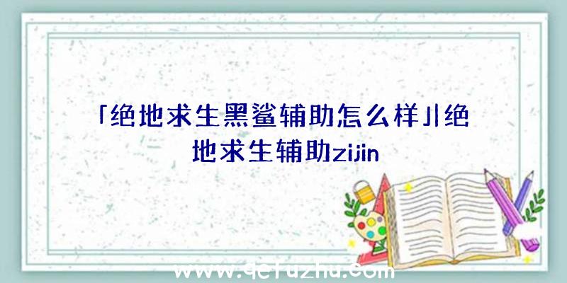 「绝地求生黑鲨辅助怎么样」|绝地求生辅助zijin